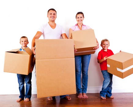 Customer reviewing a moving service quotation